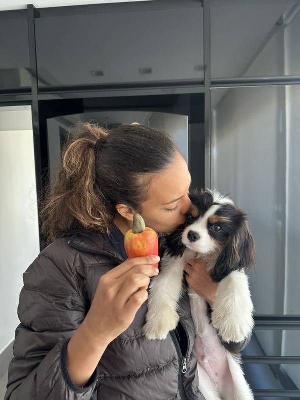 Carolina e o Caju